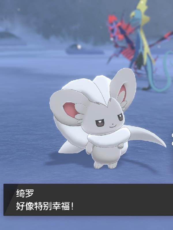 精灵宝可梦之究极训练师 精灵宝可梦之究极训练师