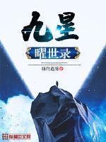 九星曜世录 九星曜世录